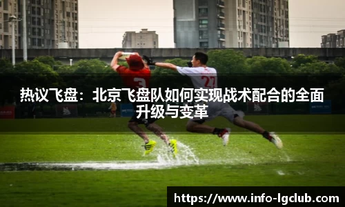 热议飞盘：北京飞盘队如何实现战术配合的全面升级与变革